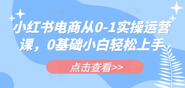 《0基础玩转小红书电商：新手从入门到精通实操指南》-小伟资源网