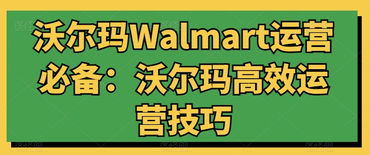 沃尔玛运营实战：高效提升销量的必备技巧-小伟资源网