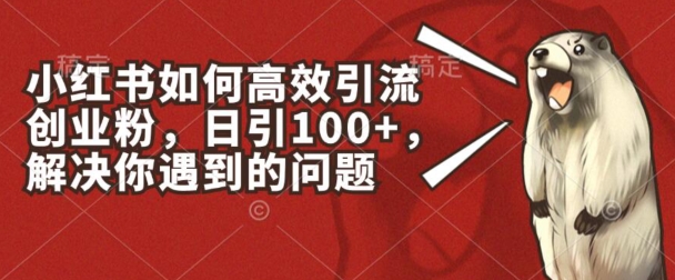 \”小红书创业粉高效引流秘籍：日增100+精准粉丝实战技巧【干货】\”-小伟资源网