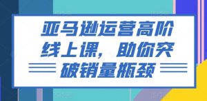 亚马逊高阶运营实战课：快速提升销量，突破增长瓶颈-小伟资源网