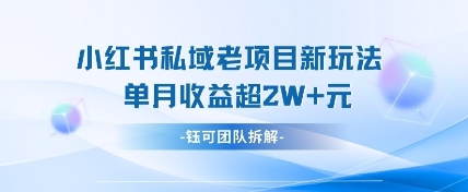 \”小红书私域变现新招：月入过万的实战玩法\”-小伟资源网