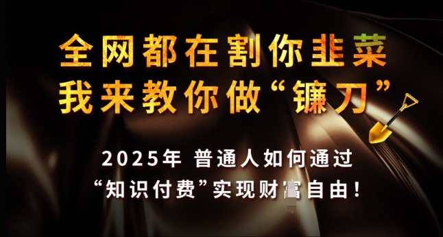 2025知识付费变现指南：普通人如何逆袭成为收割者实现财富自由-小伟资源网