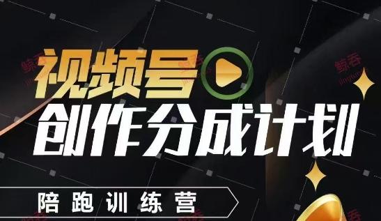 \”视频号创作分成训练营：手把手教你打造长期收益的短视频项目\”-小伟资源网