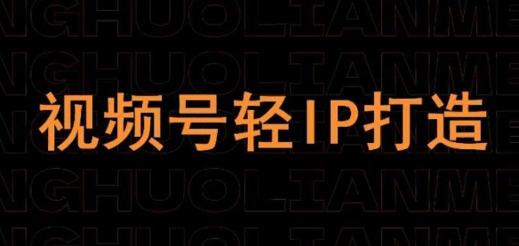\”视频号轻IP打造线上课程：快速入门指南\”-小伟资源网