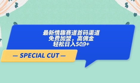 \”轻云情趣项目：零成本加盟，高佣日赚500+，速抢首码红利！\”-小伟资源网