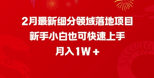 新手小白2月速赚1W+！最新细分领域项目轻松上手-小伟资源网
