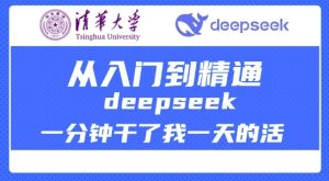 清华DeepSeek速成指南：1分钟完成1天工作量的AI神器教程-小伟资源网