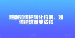 短剧变现秘籍：高效转化流量为收益-小伟资源网
