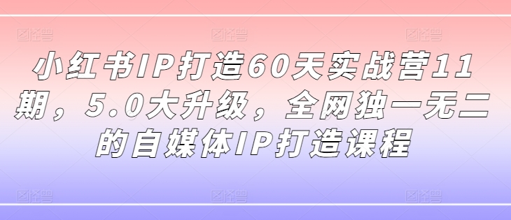 \”小红书IP打造60天实战营5.0升级版：全网独家自媒体IP特训课\”-小伟资源网