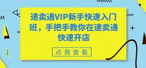 速卖通开店速成班:VIP新手从0到1实战指南-小伟资源网