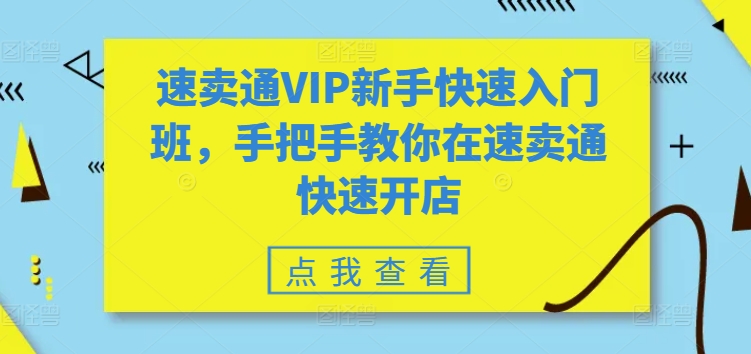速卖通开店速成班：VIP新手从0到1实战指南-小伟资源网