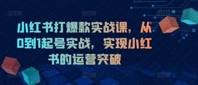 小红书爆款运营课：0基础起号到流量突破实战指南-小伟资源网