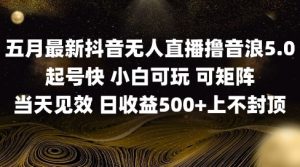 2025最新无人直播音浪日赚500+实操教程【干货揭秘】-小伟资源网