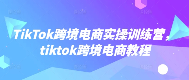 \”TikTok跨境电商实战教程：从入门到精通训练营\”-小伟资源网