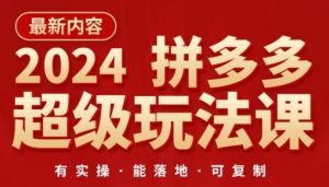 2024拼多多直通车盈利秘籍：低成本推广技巧大公开-小伟资源网