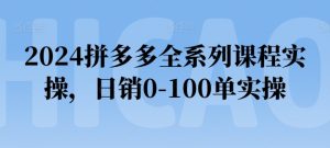 2024拼多多0-100单速成指南：全系列实操课程-小伟资源网