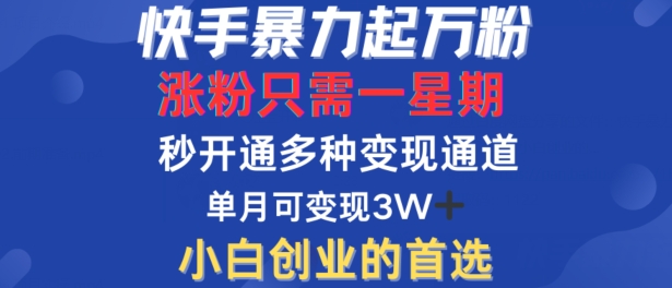 \”快手7天速成万粉秘籍：多模式变现月入过万实战攻略\”-小伟资源网