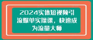 2024实体店短视频爆单实战：零基础速成流量高手-小伟资源网
