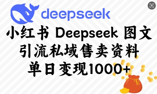 \”小红书Deepseek图文引流私域变现攻略：单日多单成交秘籍\”-小伟资源网