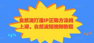 《自然流IP打造秘籍：短视频实战教程》-小伟资源网
