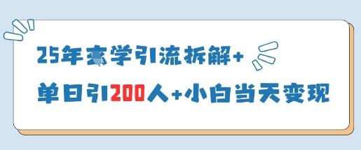 \”25年国学引流秘籍：单日200粉+新手速变现\”-小伟资源网