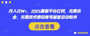 2025零门槛暴利项目：绑定账号自动躺赚，轻松月入过万-小伟资源网