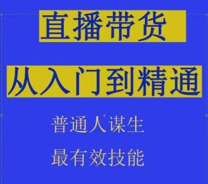 2024抖音直播带货全攻略：从入门到精通，普通人快速变现指南-小伟资源网
