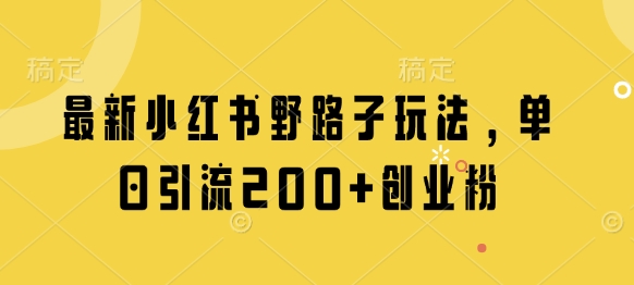 \”小红书新玩法：日引200+创业粉的野路子秘籍\”-小伟资源网