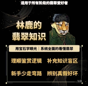 \”林鹿教你用宝石眼光系统解读翡翠奥秘\”-小伟资源网