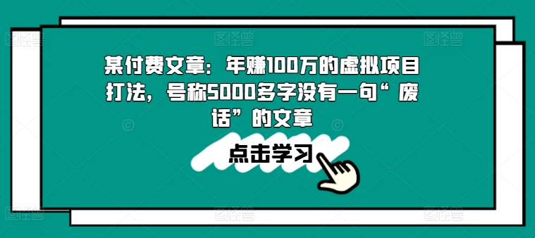 \”年赚100万虚拟项目实操指南：5000字纯干货无水分\”-小伟资源网