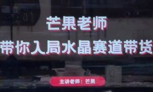 水晶直播带货入门指南：芒果老师教你轻松开启财富新赛道-小伟资源网