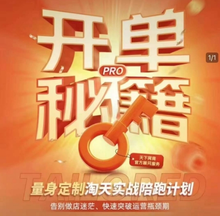 淘宝运营速成指南：定制陪跑计划，轻松突破瓶颈期（新版）-小伟资源网