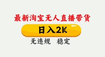 淘宝无人直播日赚千元秘诀：防封技术大公开，新手也能轻松上手-小伟资源网