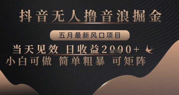 \”抖音无人音浪掘金：五月新风口，日赚多单，小白轻松上手可矩阵【揭秘】\”-小伟资源网