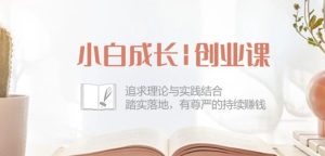 《42节小白创业课：理论实践结合，踏实赚钱》-小伟资源网