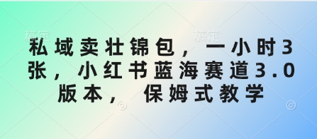 \”小红书壮锦包私域变现：1小时3单蓝海玩法，保姆级教程\”-小伟资源网