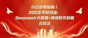 2025年轻创业新风口：Deepseek大数据结合周易算法，小白也能轻松入局-小伟资源网