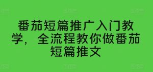番茄短篇推文全流程指南：从入门到精通-小伟资源网
