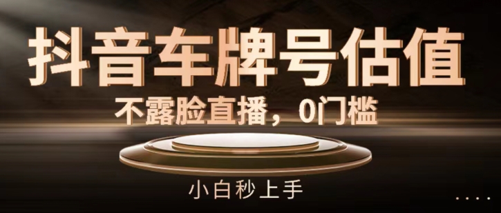 \”抖音车牌号估值直播秘籍：0门槛新手速成指南\”-小伟资源网