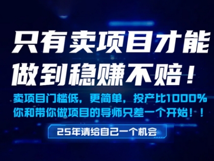 \”揭秘：零门槛稳赚项目，年入百万不是梦！\”-小伟资源网