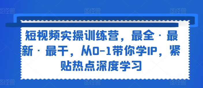 \”0基础IP速成课：短视频实战训练营·热点深度解析\”-小伟资源网