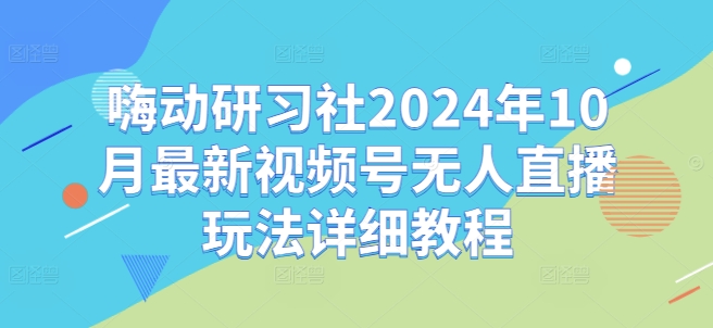 2024视频号无人直播最新玩法全解析：嗨动研习社实战教程-小伟资源网