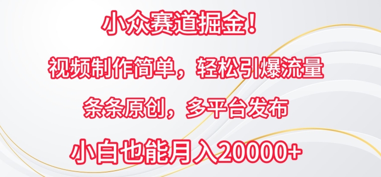 \”小众视频赛道掘金术：原创制作+多平台分发，轻松引爆流量【揭秘】\”-小伟资源网