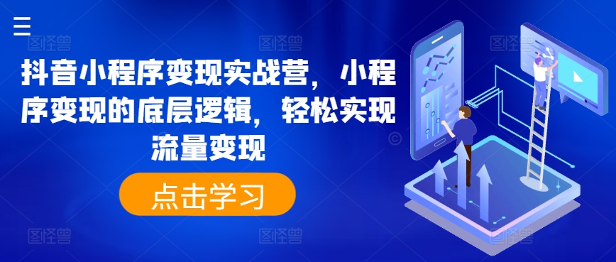 \”抖音小程序变现实战：揭秘底层逻辑，轻松玩转流量赚钱\”-小伟资源网