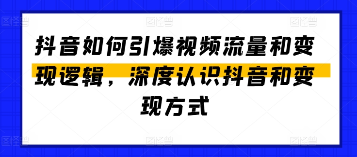 抖音流量变现全攻略：引爆视频热度与盈利技巧-小伟资源网
