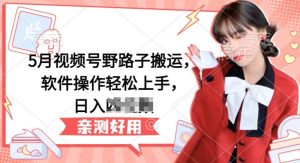 视频号搬运暴利玩法：5月最新野路子，轻松日赚300+-小伟资源网