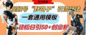 “视频号截流神技：单日50+创业粉引流模板，评论区疯狂涨粉攻略”-小伟资源网