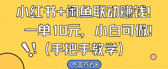 \”小红书闲鱼联动赚钱攻略：单笔10元，新手轻松上手\”-小伟资源网