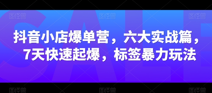 \”7天抖音小店爆单速成：6大实战技巧+暴力标签玩法\”-小伟资源网