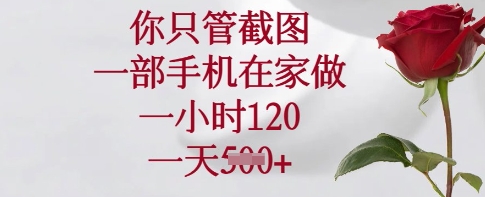 \”手机截图轻松赚！日入120+，5张图在家搞定【揭秘】\”-小伟资源网